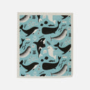 Dido Graphic Quick Drying Kitchen Towels