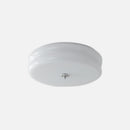 French Glass Ceiling Light