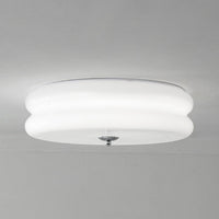 French Glass Ceiling Light