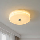 French Glass Ceiling Light