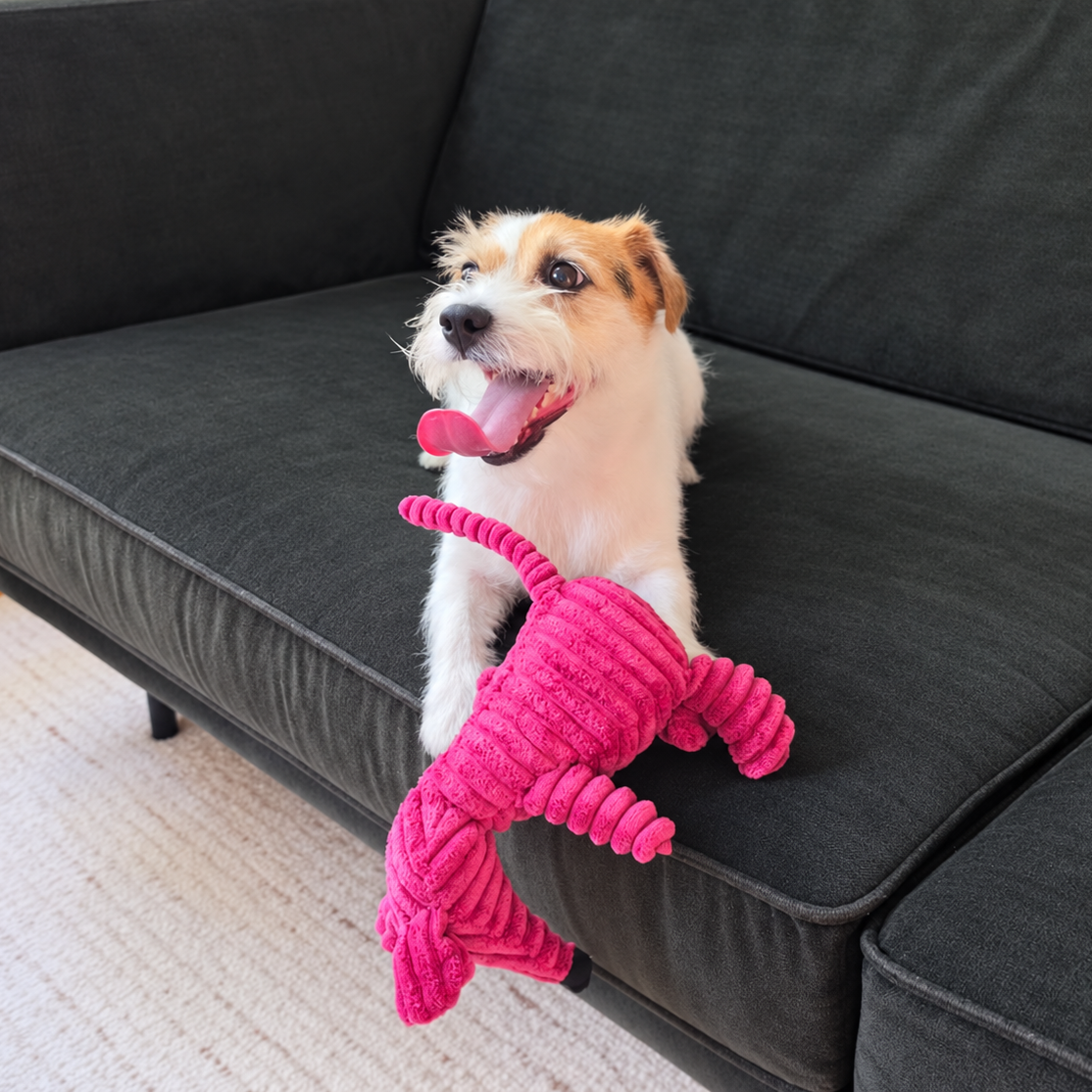 Plush Squeaky Mouse Dog Toy – Soft Chew Toy for Small & Medium Dogs-Letifly Lights and Decor