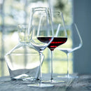 Globo Glass Decanter-Letifly Lights and Decor