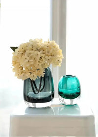 ins Light luxury thick transparent glass vase decoration hydroponic crafts home decoration ornaments living room decor-Letifly Lights and Decor