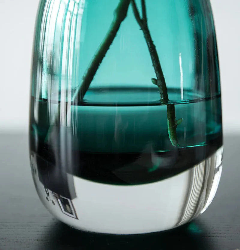ins Light luxury thick transparent glass vase decoration hydroponic crafts home decoration ornaments living room decor-Letifly Lights and Decor