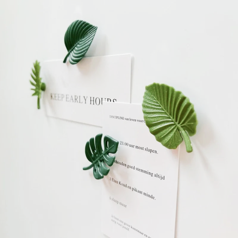 Leaf Decorative Magnet Set