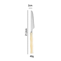 Stainless steel cutlery with acrylic handles - creative Western-style steak cutlery and dessert spoons-Letifly Lights and Decor