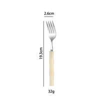 Stainless steel cutlery with acrylic handles - creative Western-style steak cutlery and dessert spoons-Letifly Lights and Decor