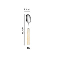Stainless steel cutlery with acrylic handles - creative Western-style steak cutlery and dessert spoons-Letifly Lights and Decor