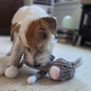 Plush Bunny Squeaky Dog Toy – Soft Chew Toy for Small & Medium Dogs-Letifly Lights and Decor