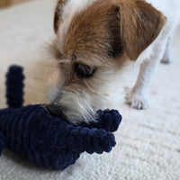 Plush Squeaky Elephant Dog Toy – Soft Chew Toy for Small & Medium Dogs-Letifly Lights and Decor
