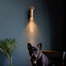 Brass Glass Wall/Pendant Lamp