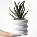 White Round Rolls Ceramic Plant Pot