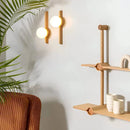 Moonlight Creative Wall Lights Walnut Wood Wabi-sabi Modern Sconce Lamps Home Decor Living Dining Room Bedroom Study Corridor-Letifly Lights and Decor
