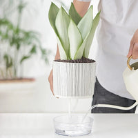 Self Absorbent Flowerpot Plastic Hydroponic Lazy Flowerpot Thickened Water Storage Plant Pot Desktop Potted Planter Home Decor-Letifly Lights and Decor