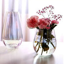 Glass Vase Amber Smoke Iridescent Decorative Modern Transparent Flower Arrangement Tabletop Decor