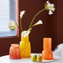 Glass Vase Color Irregularity Hydroponic Vessel Flower Vase Floral Arrangement Terrarium Home Decoration Accessories