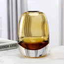 ins Light luxury thick transparent glass vase decoration hydroponic crafts home decoration ornaments living room decor-Letifly Lights and Decor