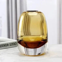 ins Light luxury thick transparent glass vase decoration hydroponic crafts home decoration ornaments living room decor-Letifly Lights and Decor