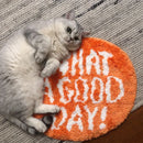 Orange Flocking Rug What A Good Day Quote Soft Fluffy Bathroom Bedroom Entryway Floor Mat