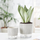 Self Absorbent Flowerpot Plastic Hydroponic Lazy Flowerpot Thickened Water Storage Plant Pot Desktop Potted Planter Home Decor-Letifly Lights and Decor