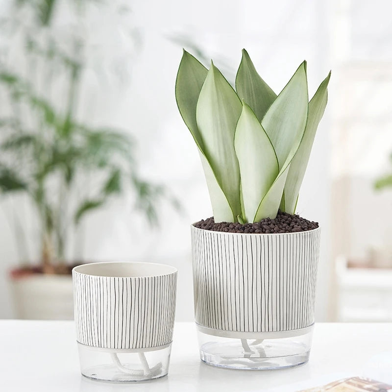 Evergreen Flow Self-Watering Planter