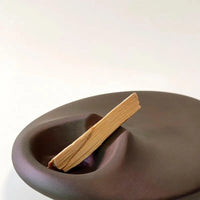 Palo Santo ceramic holder matte sculpted modern incense tray minimalist for smudge stick sage bundles