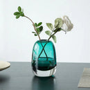 ins Light luxury thick transparent glass vase decoration hydroponic crafts home decoration ornaments living room decor-Letifly Lights and Decor