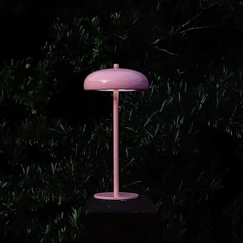 Rechargeable LED table lamp with touch dimmer portable bedside night light dome design