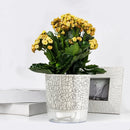 Self Absorbent Flowerpot Plastic Hydroponic Lazy Flowerpot Thickened Water Storage Plant Pot Desktop Potted Planter Home Decor-Letifly Lights and Decor
