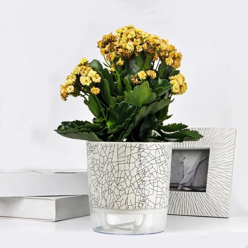 Self Absorbent Flowerpot Plastic Hydroponic Lazy Flowerpot Thickened Water Storage Plant Pot Desktop Potted Planter Home Decor-Letifly Lights and Decor