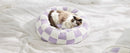 Donut Haven Pet Bed-Letifly Lights and Decor