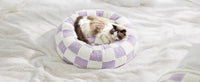Donut Haven Pet Bed-Letifly Lights and Decor
