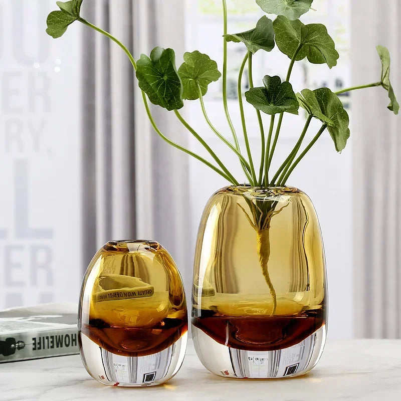 ins Light luxury thick transparent glass vase decoration hydroponic crafts home decoration ornaments living room decor-Letifly Lights and Decor