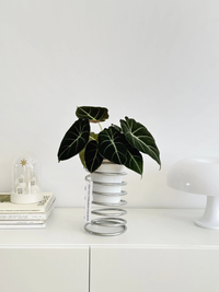 Spring Wire Planter Stand-Letifly Lights and Decor