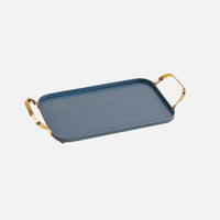 Solid Color Metal Tray