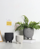 Cement Flower Pot