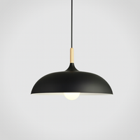 Soft Pastel Palette Pendant Lights in Metal & Wood - Final Sale-Letifly Lights and Decor