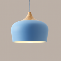 Soft Pastel Palette Pendant Lights in Metal & Wood - Final Sale-Letifly Lights and Decor