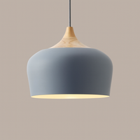 Soft Pastel Palette Pendant Lights in Metal & Wood - Final Sale-Letifly Lights and Decor
