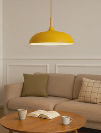 Soft Pastel Palette Pendant Lights in Metal & Wood - Final Sale