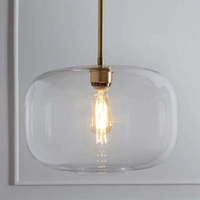 Sculpted Clear Glass Brass Luminaire  for Hallway and Dining Pendant Lamp