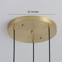 Sculpted Clear Glass Brass Luminaire  for Hallway and Dining Pendant Lamp
