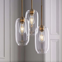 Sculpted Clear Glass Brass Luminaire  for Hallway and Dining Pendant Lamp