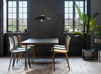 Round Black Gold Pendant Light
