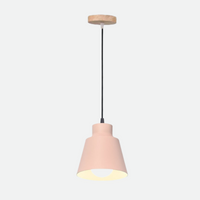Devon Pendant Cone Lamp-Letifly Lights and Decor