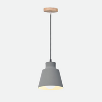 Devon Pendant Cone Lamp-Letifly Lights and Decor