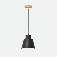 Devon Pendant Cone Lamp-Letifly Lights and Decor