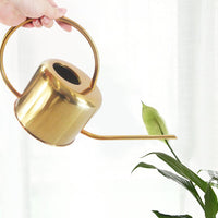 Flo Stainless Steel Watering Can-Letifly Lights and Decor