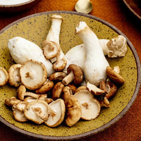 Harvest Stoneware Plates & Bowls-Letifly Lights and Decor