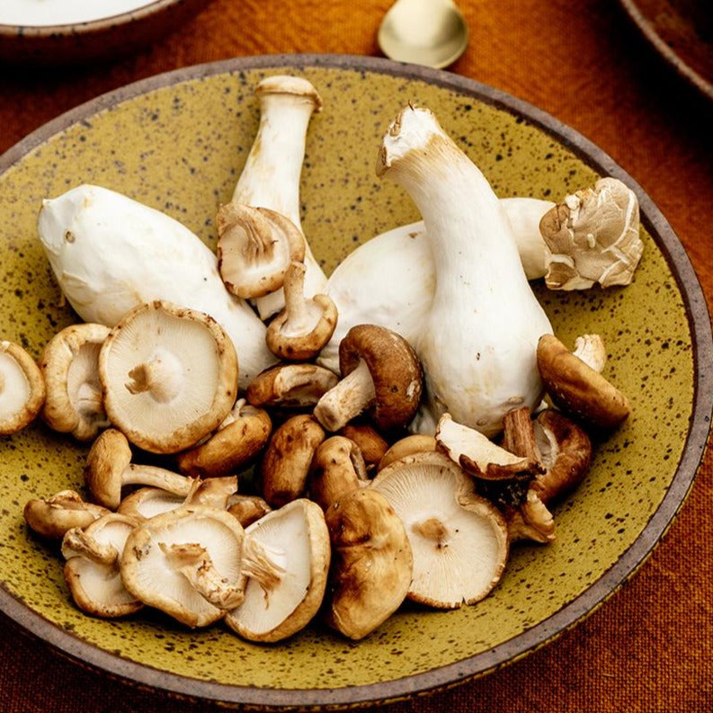 Harvest Stoneware Plates & Bowls-Letifly Lights and Decor